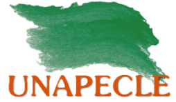 UNAPECLE, Union Nationale des Associations de Parents d’Enfants atteints de Cancer ou LEucémie
