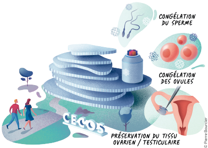 Infographie sur la préservation de la fertilité